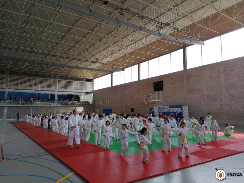 Juegos Infantiles de Judo. Pamplona 25-05-24. FOTOS